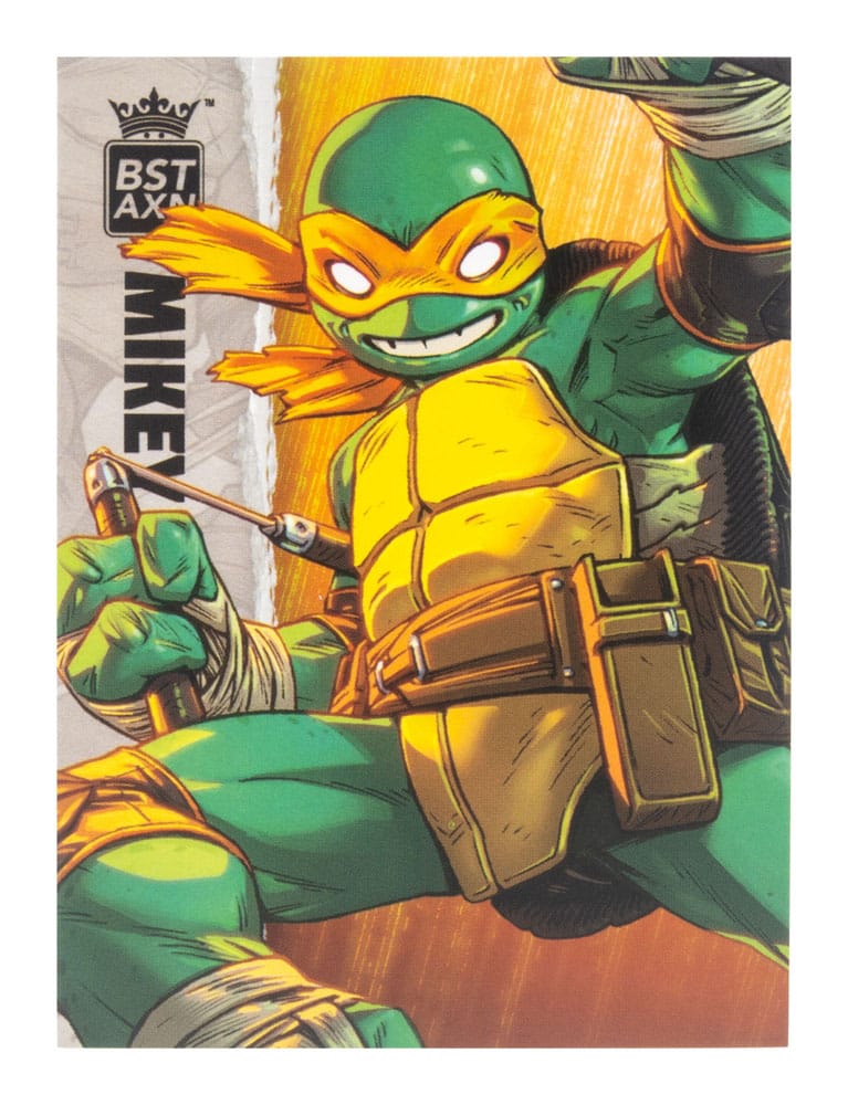 Teenage Mutant Ninja Turtles BST AXN Actionfigur Michelangelo (IDW Comics) 13 cm - Versand: 5-7 Tage nach Bestellung