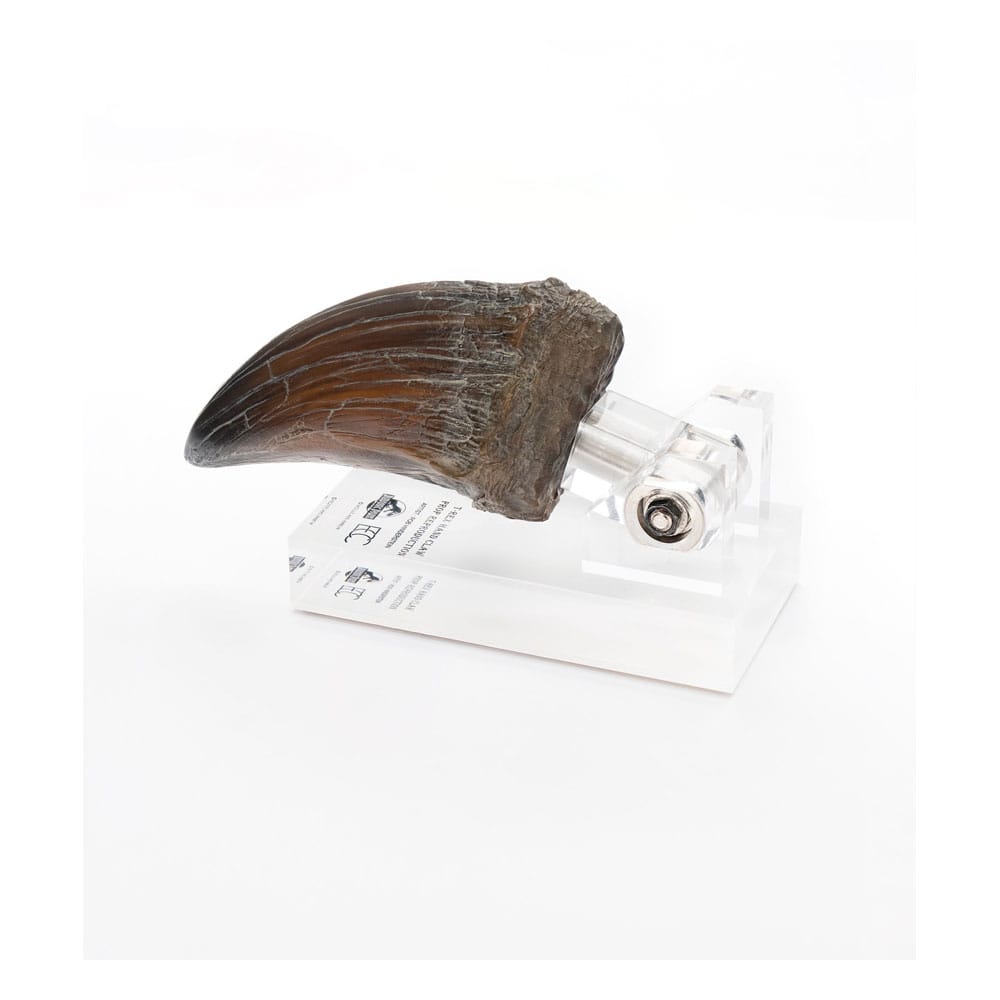 Jurassic Park Statue T-Rex Hand Claw 13 cm - Preorder - ETA: 25.02.2026