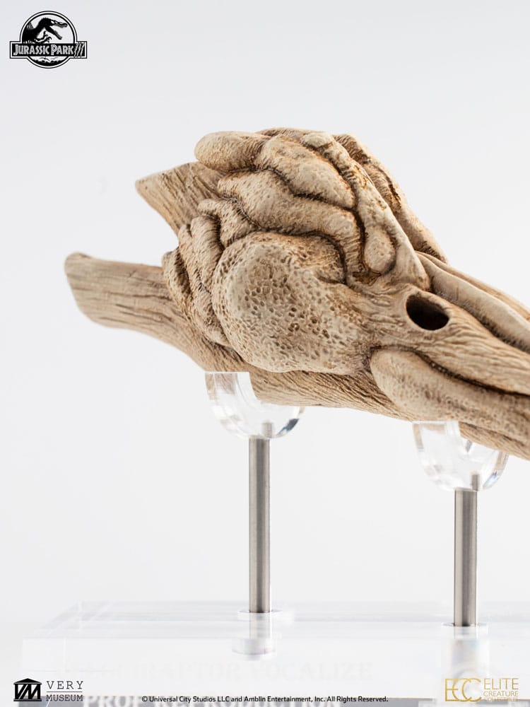 Jurassic Park III Prop Replik 1/1 Velociraptor Resonance Chamber 18 cm - Preorder - ETA: 25.02.2026