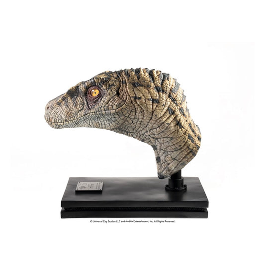 Jurassic Park III Büste Female Velociraptor White Queen 75 cm - Preorder - ETA: 25.02.2026