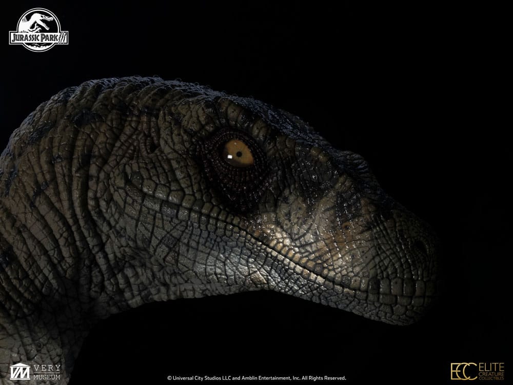 Jurassic Park III Büste Female Velociraptor White Queen 75 cm - Preorder - ETA: 25.02.2026
