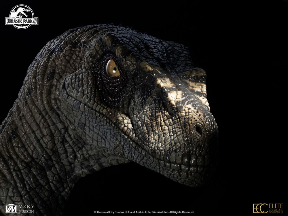 Jurassic Park III Büste Female Velociraptor White Queen 75 cm - Preorder - ETA: 25.02.2026