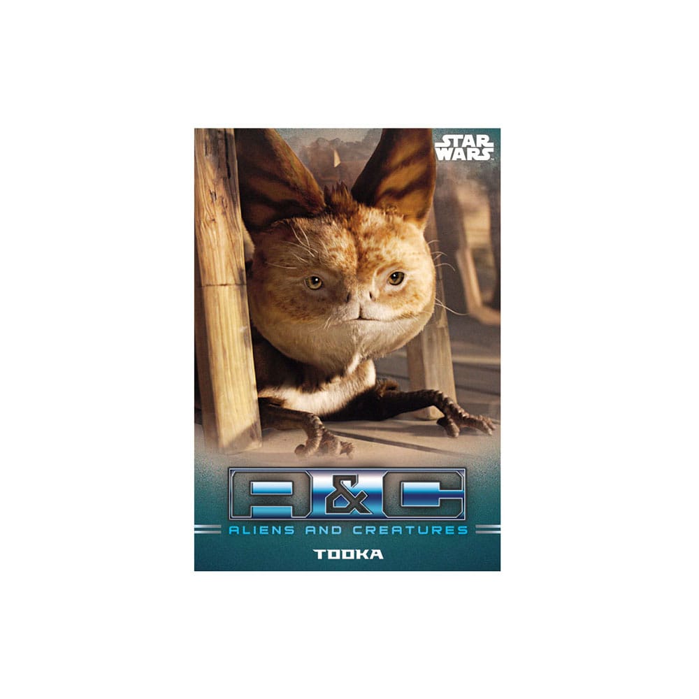Star Wars: The Mandalorian Sammelkarten Starter Pack *Englische Version* - Preorder - ETA: 09.07.2026