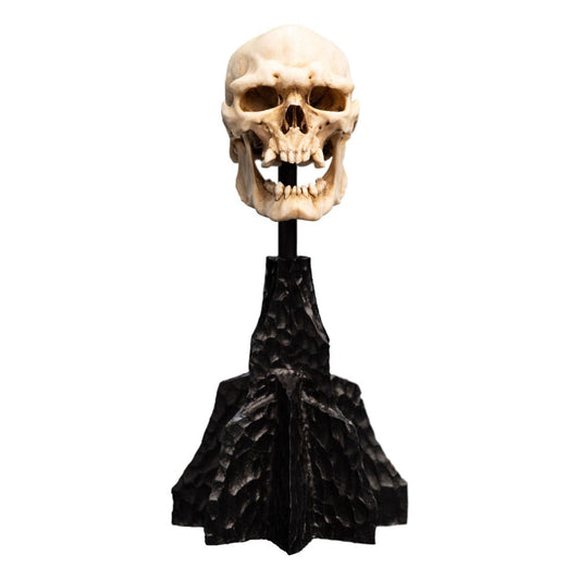 Herr der Ringe Mini Statue Skull of a Mordor Orc 14 cm - Preorder - ETA: 25.10.2025