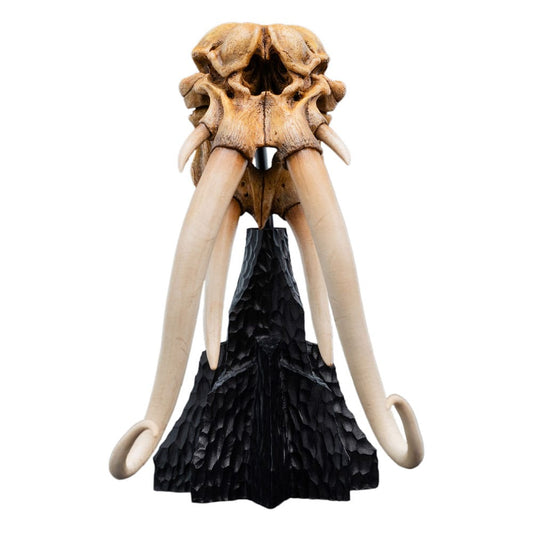Herr der Ringe Mini Statue Skull of a Mumak 15 cm - Preorder - ETA: 25.02.2026