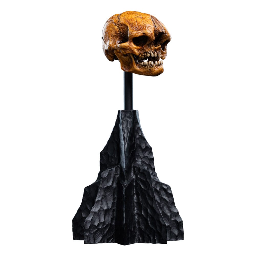 Herr der Ringe Mini Statue Skull of a Misty Mountain Goblin 14 cm - Preorder - ETA: 02.11.2026