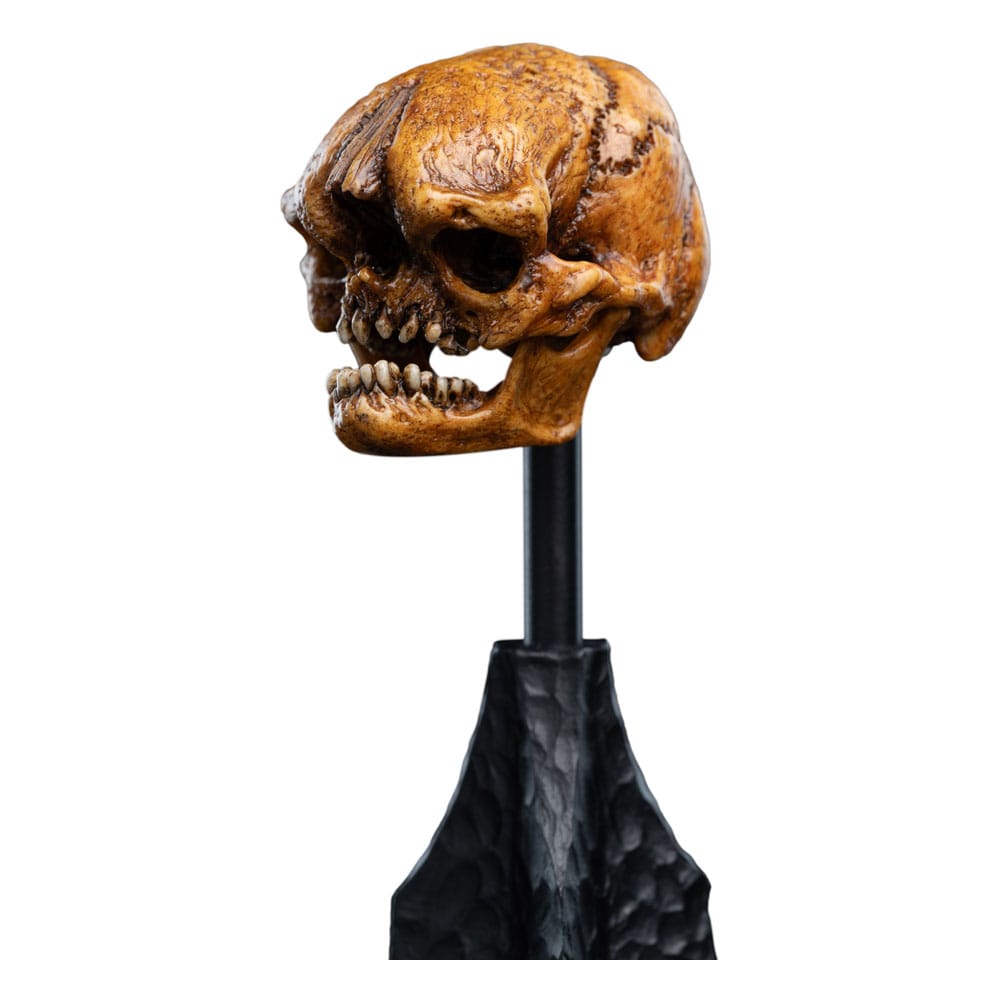 Herr der Ringe Mini Statue Skull of a Misty Mountain Goblin 14 cm - Preorder - ETA: 02.11.2026