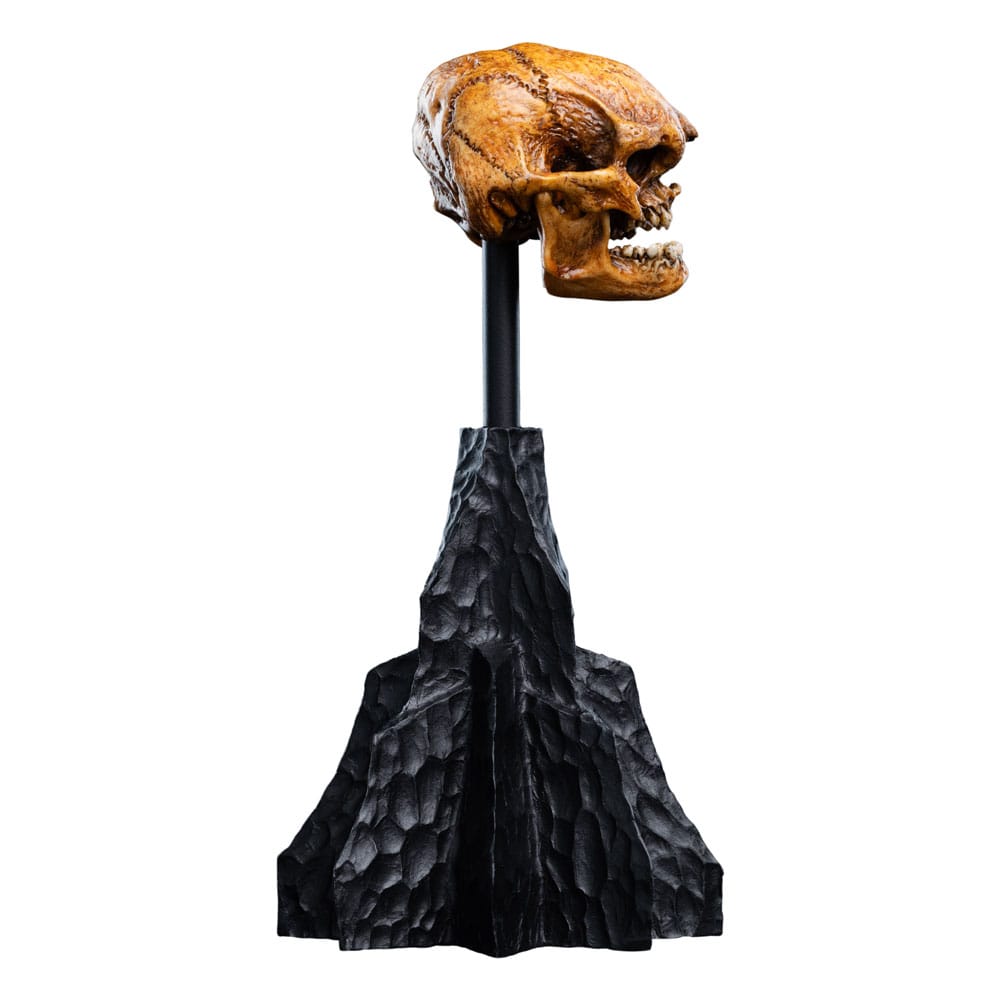 Herr der Ringe Mini Statue Skull of a Misty Mountain Goblin 14 cm - Preorder - ETA: 02.11.2026