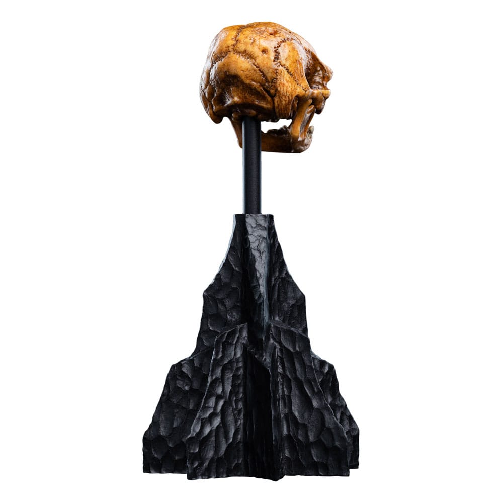 Herr der Ringe Mini Statue Skull of a Misty Mountain Goblin 14 cm - Preorder - ETA: 02.11.2026