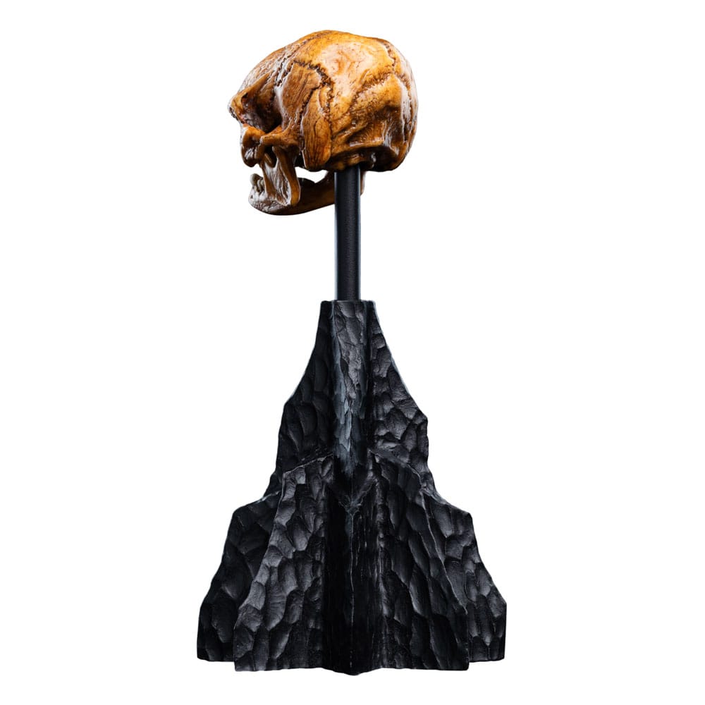 Herr der Ringe Mini Statue Skull of a Misty Mountain Goblin 14 cm - Preorder - ETA: 02.11.2026