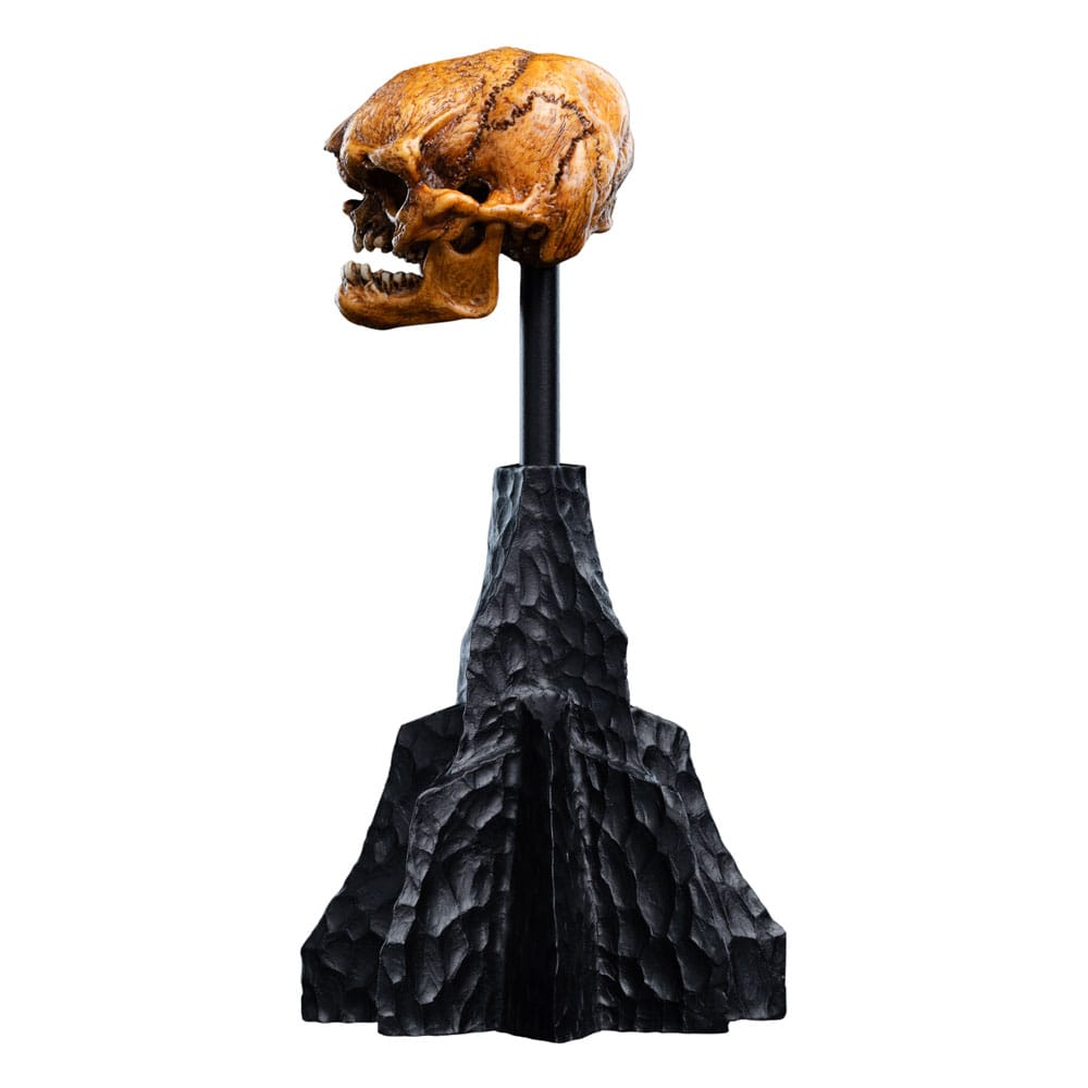 Herr der Ringe Mini Statue Skull of a Misty Mountain Goblin 14 cm - Preorder - ETA: 02.11.2026