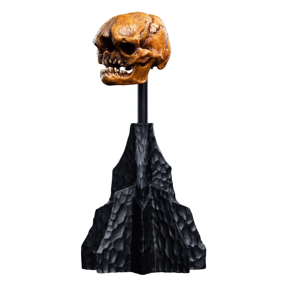 Herr der Ringe Mini Statue Skull of a Misty Mountain Goblin 14 cm - Preorder - ETA: 02.11.2026