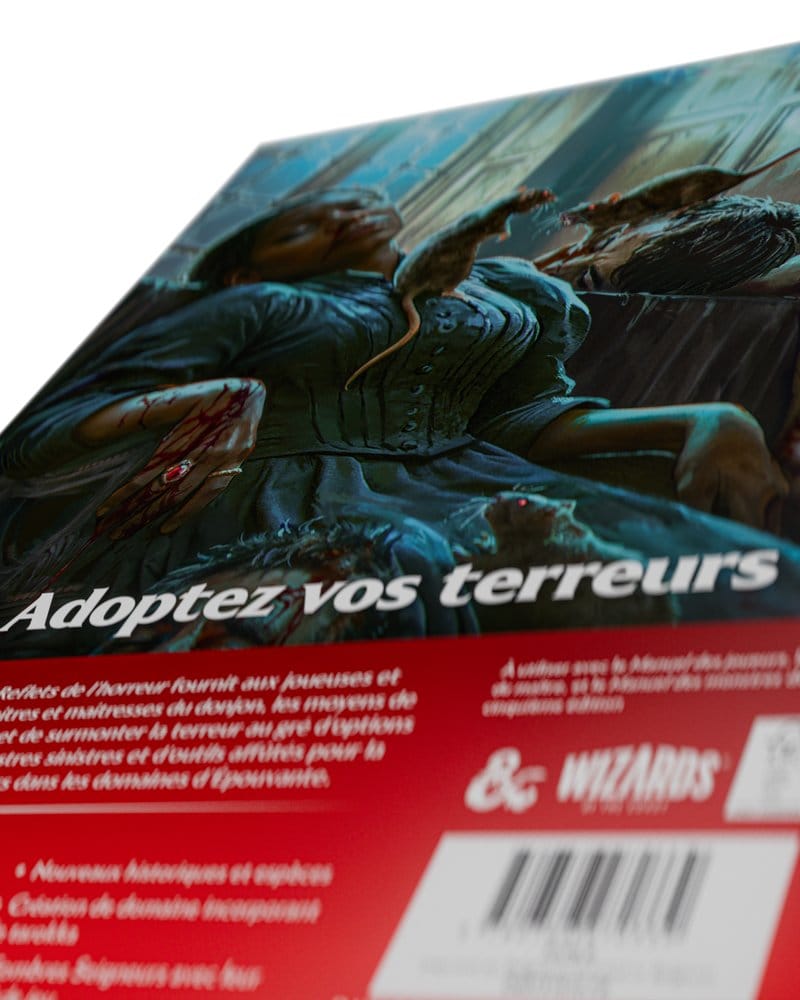 Dungeons & Dragons RPG Ravenloft: Les Reflets de l'Horreur Buch *Französische Version* - Preorder - ETA: 20.10.2026